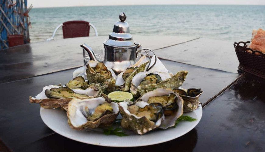 Les ressources halieutiques de Dakhla : un trésor côtier et culinaire