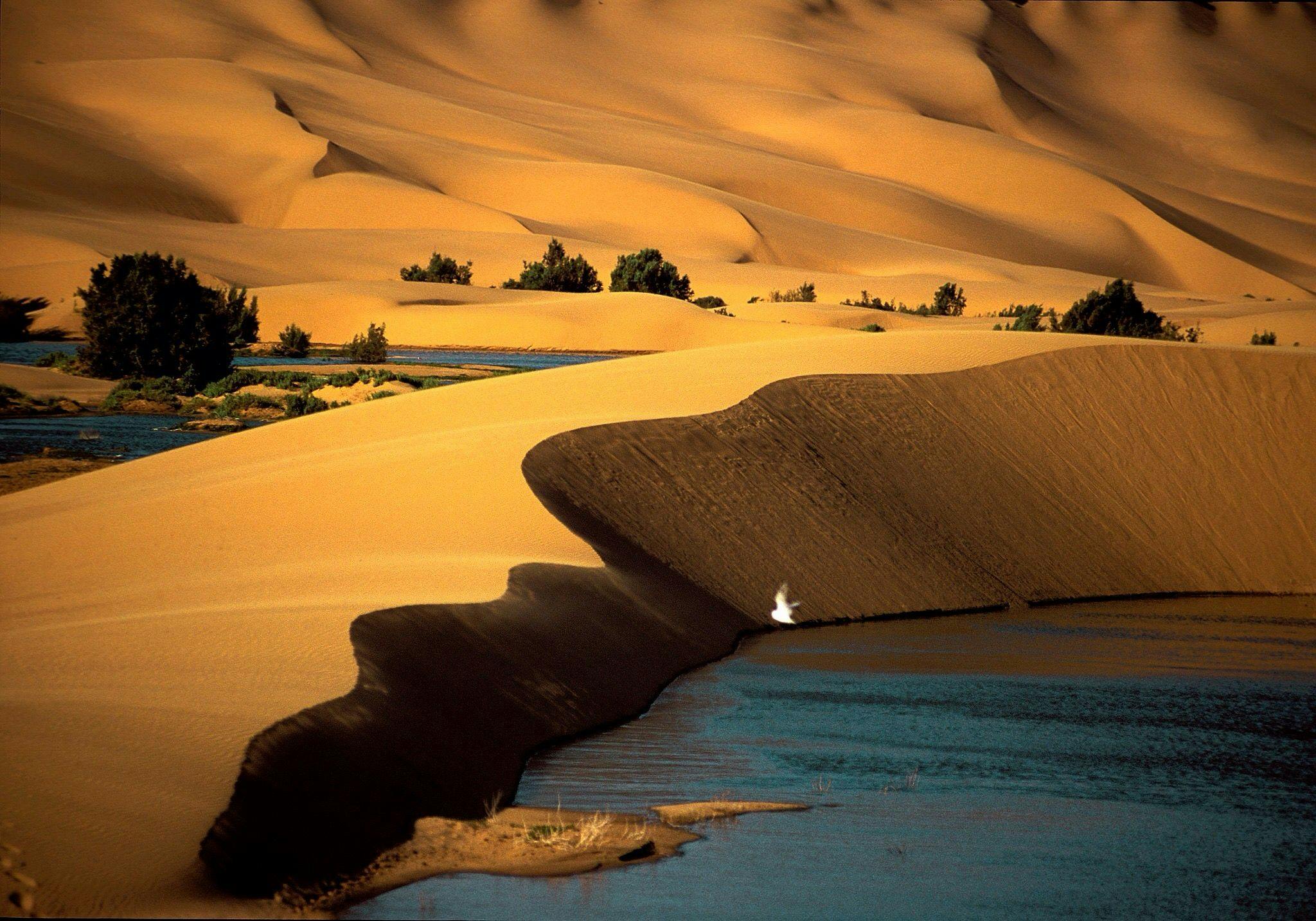 Partez à la conquête des dunes de sable dorées