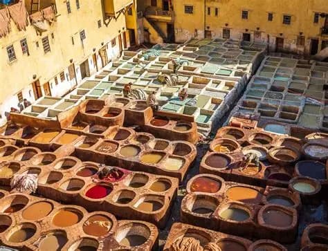 Tanneries Chouara de Fès - L'Art Ancestral du Cuir