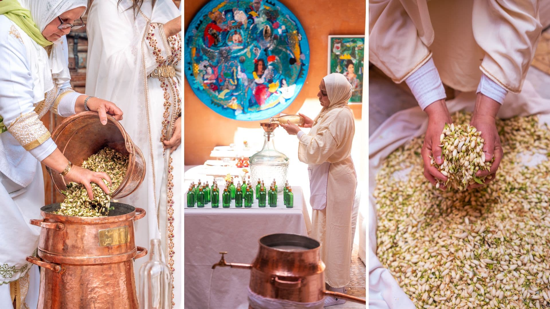 La Zahria de Marrakech : quand patrimoine, écologie et joie fleurissent ensemble