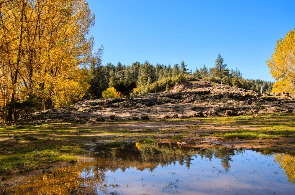 Parc National d'Ifrane - La Suisse Marocaine
