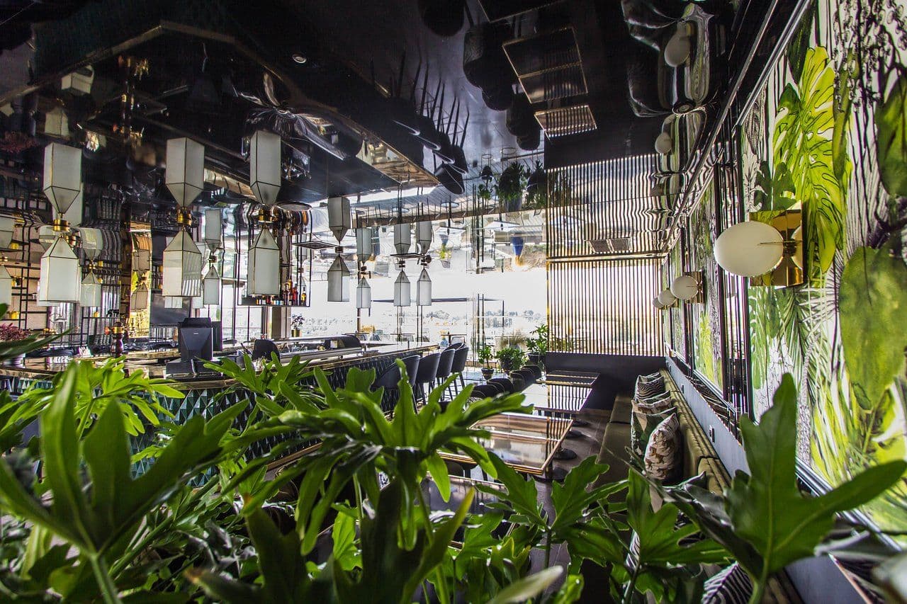 Jungle Restaurant - L'Animation Gastronomique de Fès