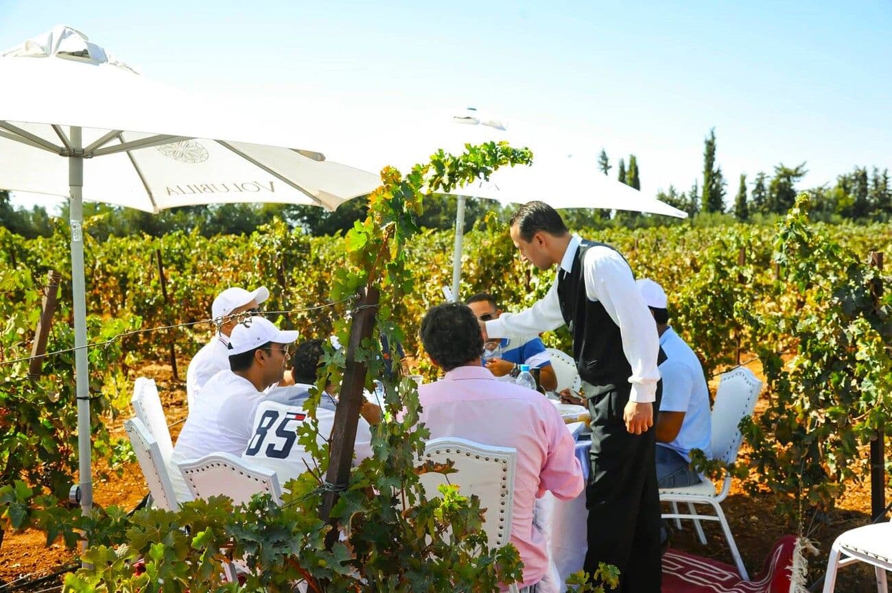 Domaine la Zouina - Volubilia - L'Excellence Viticole et Oléicole