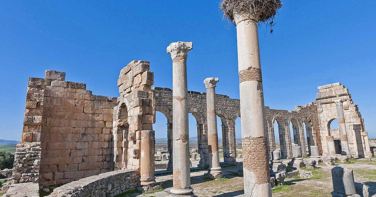  Site Archéologique de Volubilis - Vestiges Romains au Coeur du Maroc Impérial