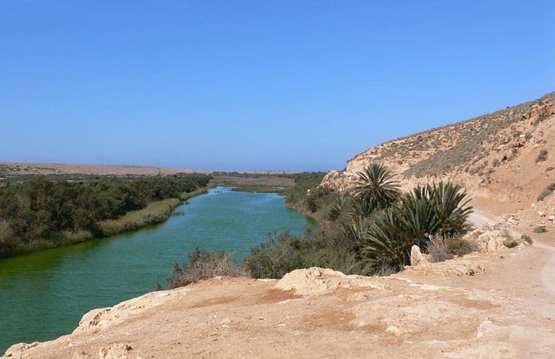 Parc National de Souss-Massa - La Conservation Intégrée de la Biodiversité