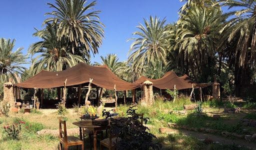 Eveillez vos sens à Tiout, oasis secrète du Maroc